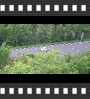 ../pictures/Scenic Overlook in Allamuchy NJ/DSCF2209_1_small_icon.jpg